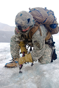 click for enlarge 683 X 1024 382.3 Kb picture